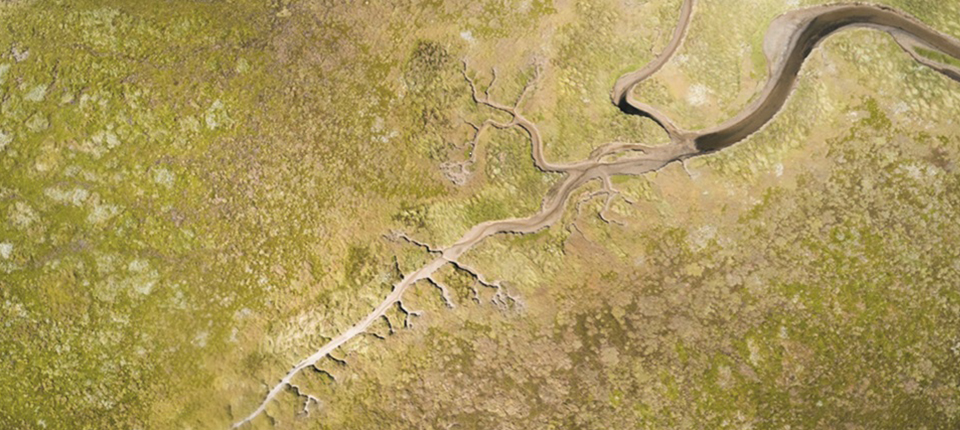 Como as altas temperaturas impactam a saúde cardíaca
