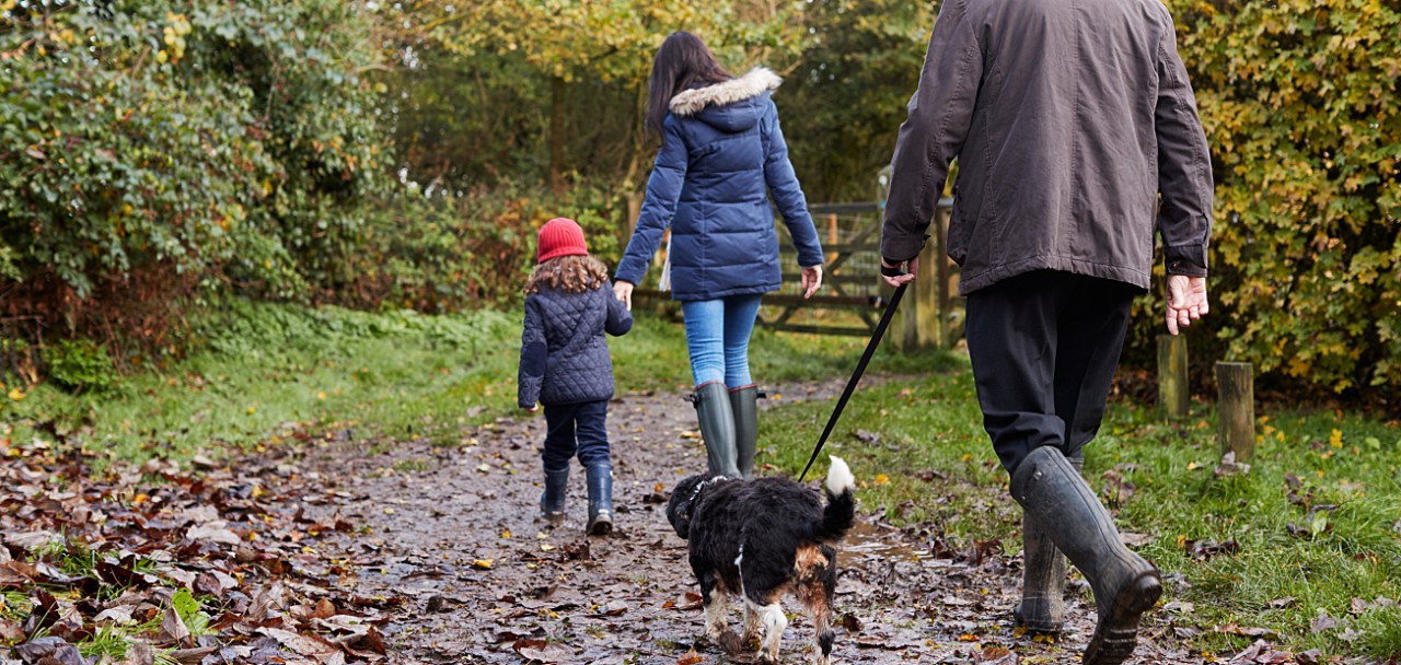 Multi Generation Family Take Dog For Walk In Fall Landscape; Shutterstock ID 596617541; PO: 123